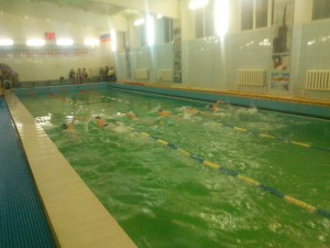 День стайера